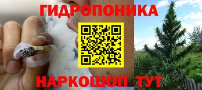 гидра Апрелевка