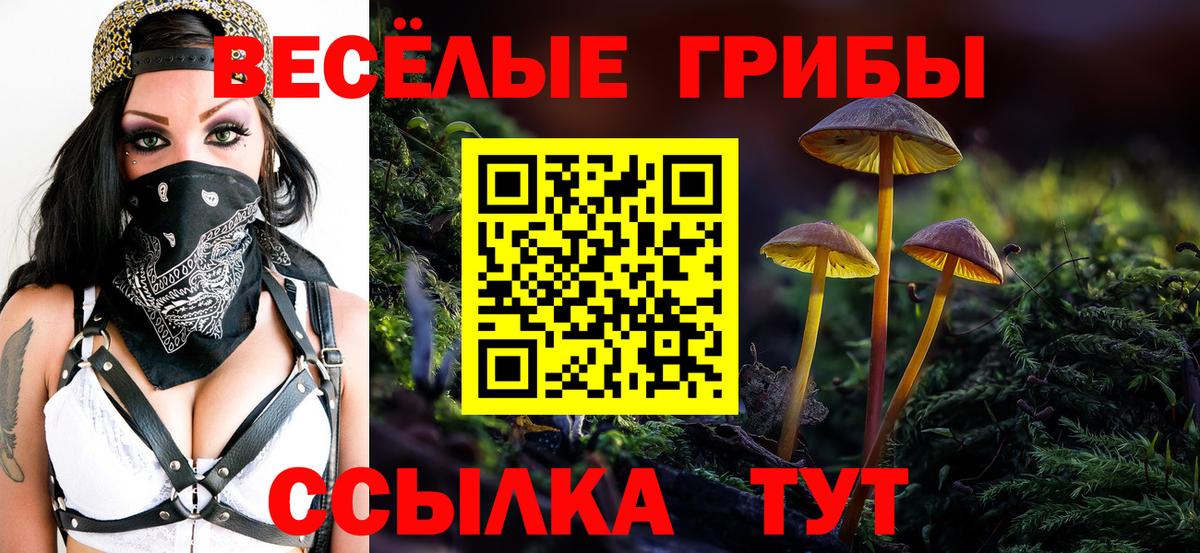 Псилоцибиновые грибы MAGIC MUSHROOMS Балахна