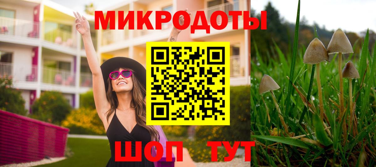 Балахна  Псилоцибиновые грибы Cubensis  Вход с VPN  купить закладку  Галлюциногенные грибы мухоморы 